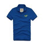 Polo Masculina Hollister