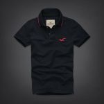 Polo Masculina Hollister